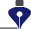 Diseño
