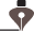 Diseño