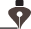 Diseño