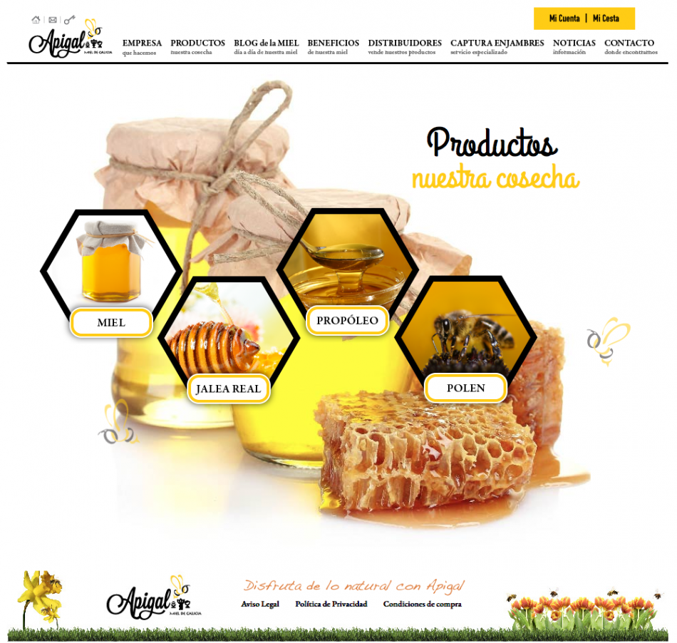 Nueva Página web Venta online Miel de Galicia | Apigal