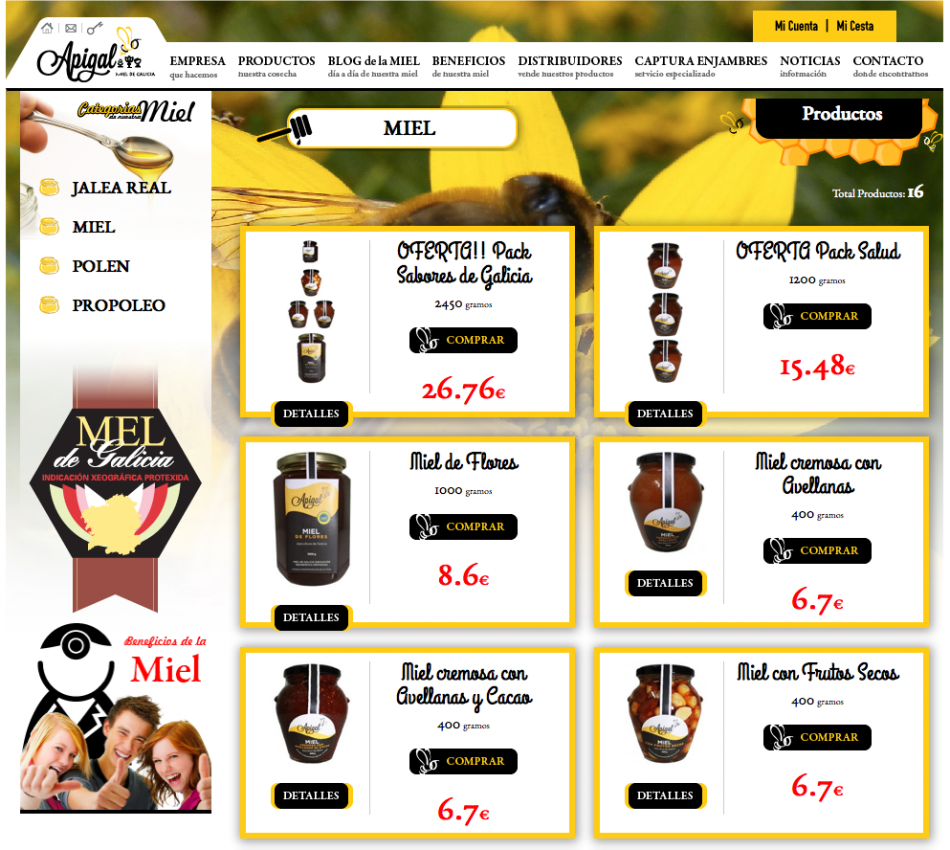 Nueva Página web Venta online Miel de Galicia | Apigal
