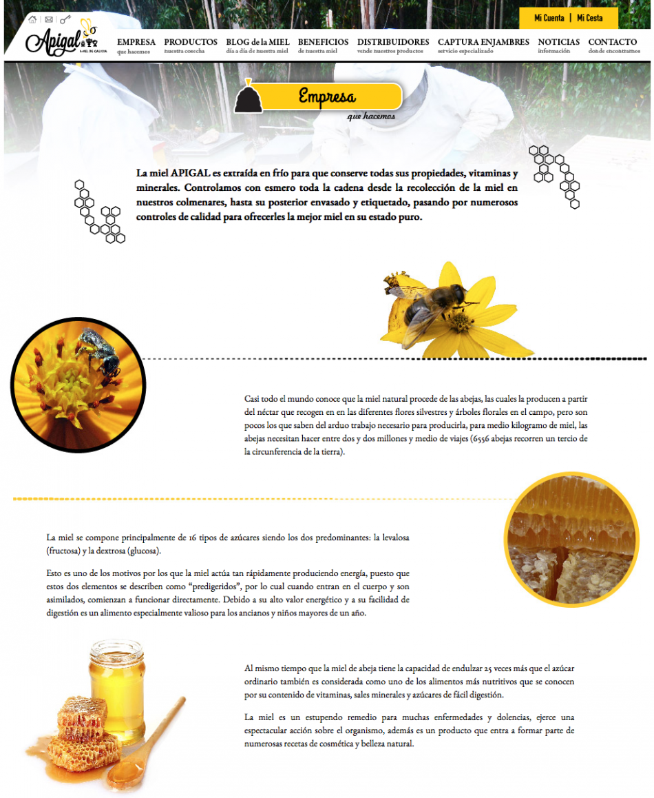 Nueva Página web Venta online Miel de Galicia | Apigal