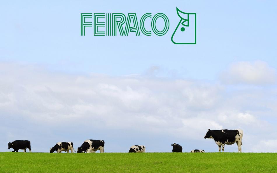 Diseño Corporativo | Feiraco