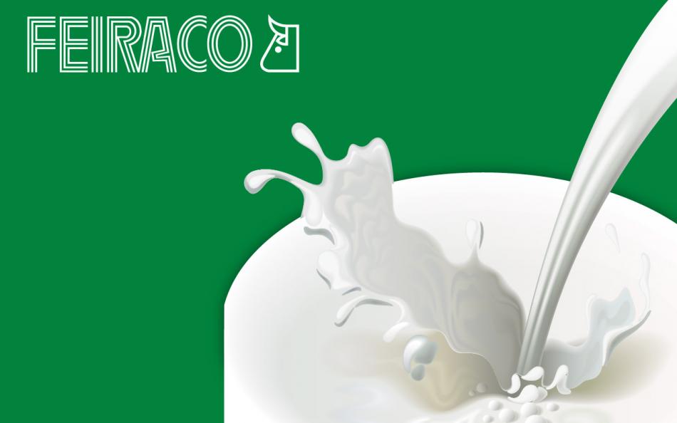Diseño Corporativo | Feiraco