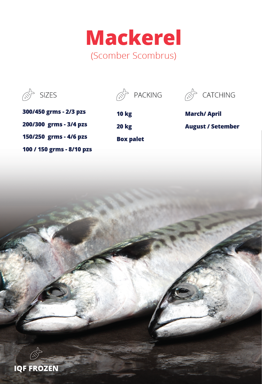 Catálogo Feria | Pescados Hermanos Líjo