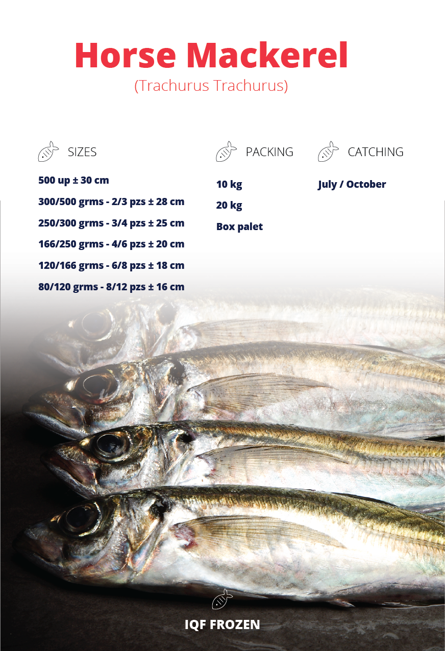Catálogo Feria | Pescados Hermanos Líjo