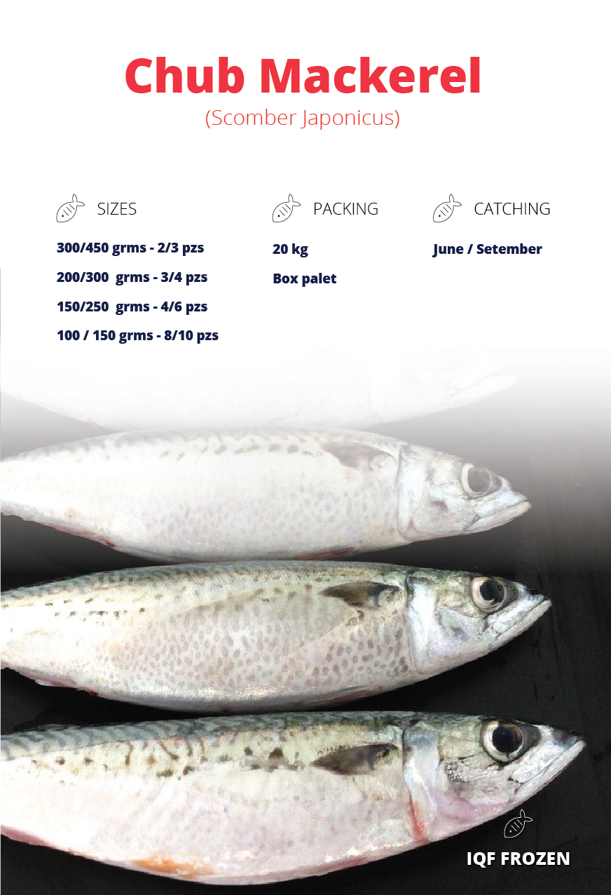 Catálogo Feria | Pescados Hermanos Líjo