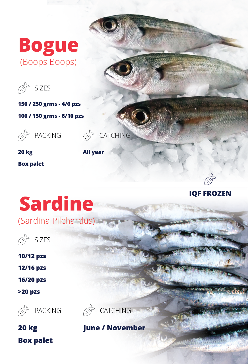 Catálogo Feria | Pescados Hermanos Líjo