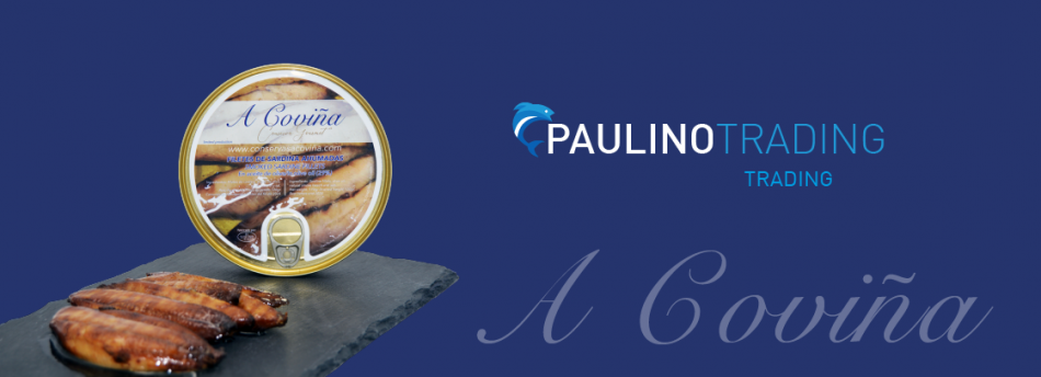 Nuevo diseño | Paulino Trading