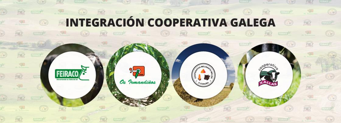 cooperativismo de Galicia