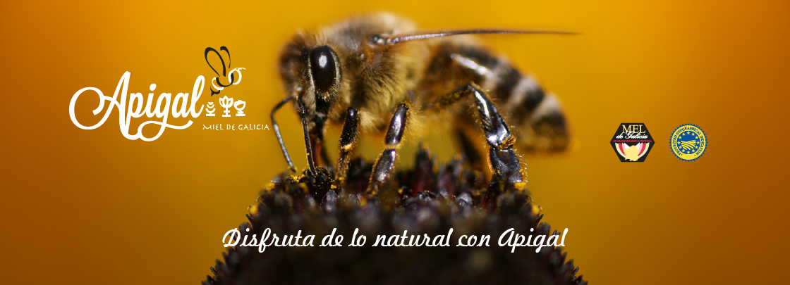 Diseño imagen corporativa