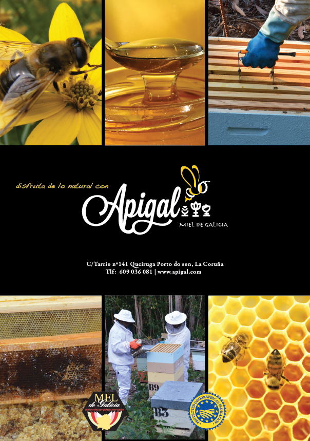 Diseño imagen corporativa