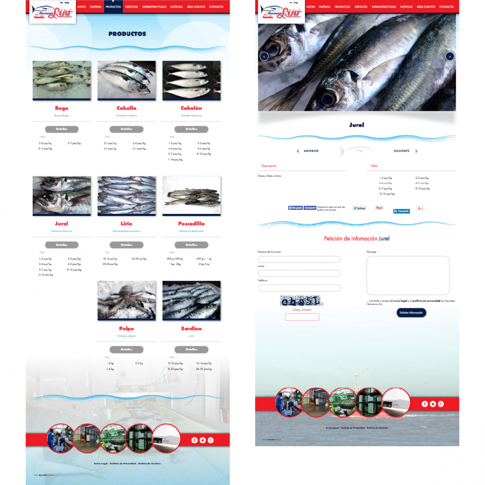 Nueva Web Pescados Hermanos Lijó
